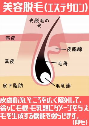 EуNjbN,EуT,É,ÒE,[U[E